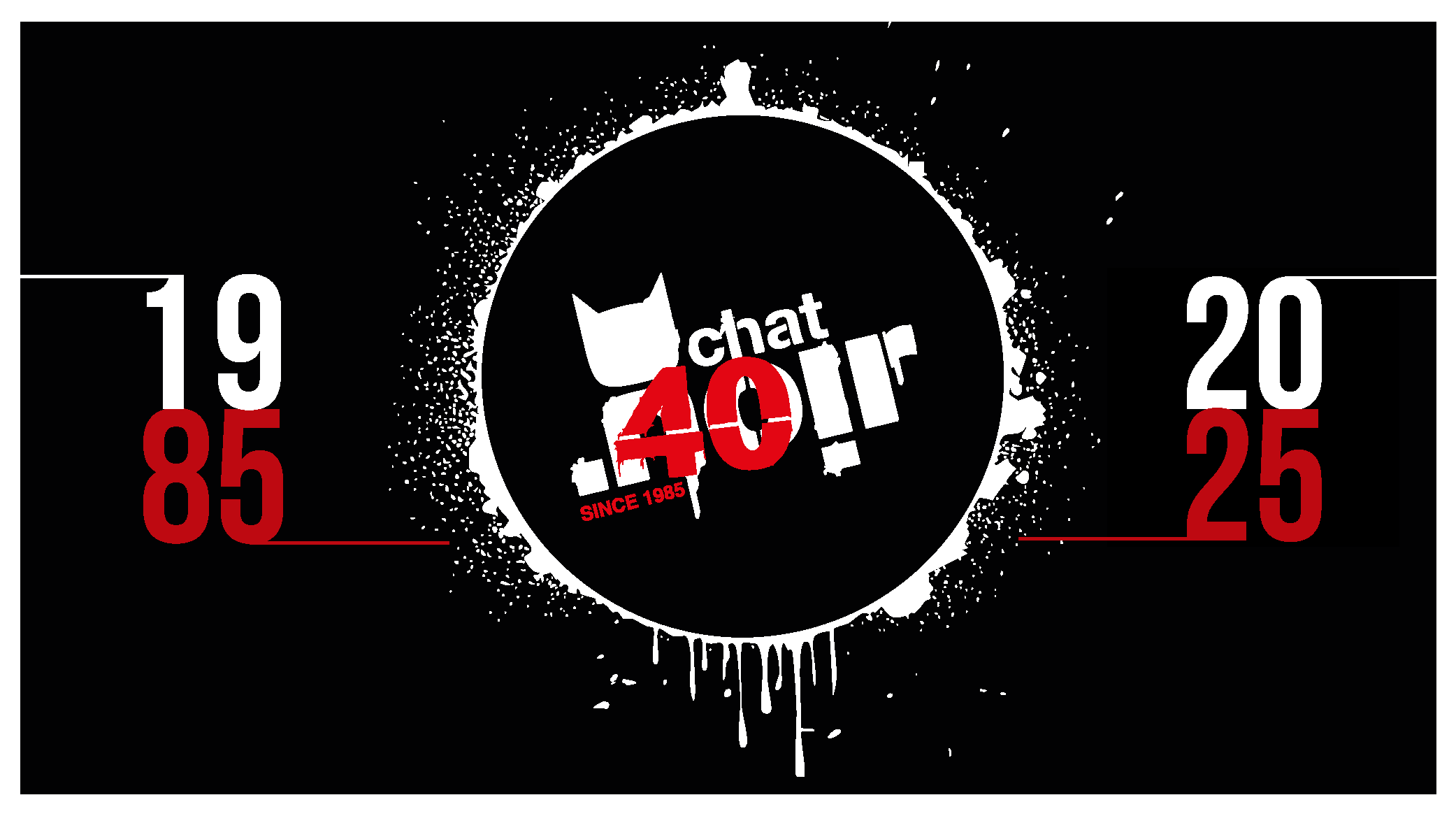 Chat Noir news